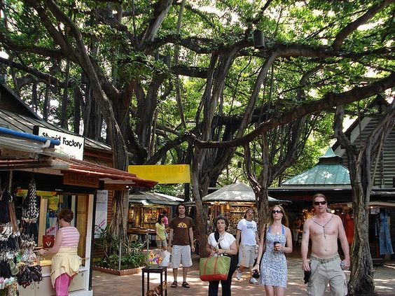 Best Things to Do in Honolulu with Family - 10