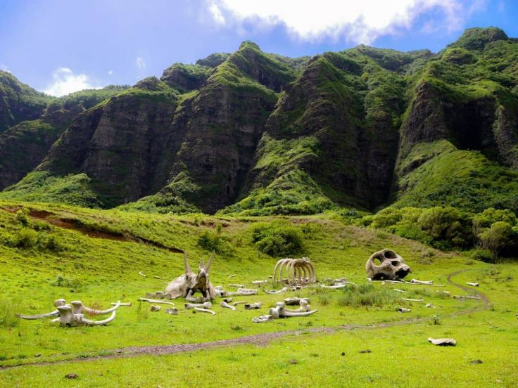 Top 10 Things to do with Family in Oahu - 7