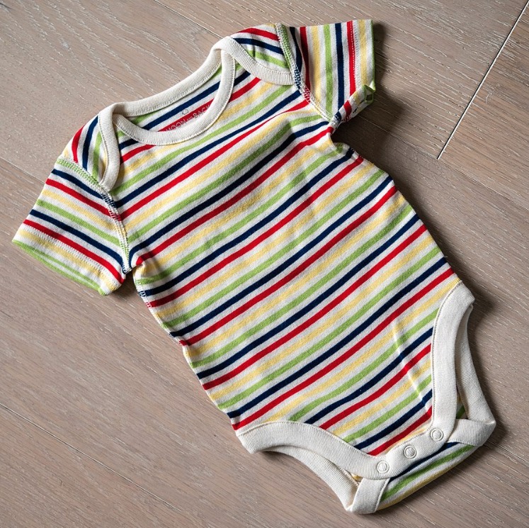 Baby Onesie is a Must-Have Item