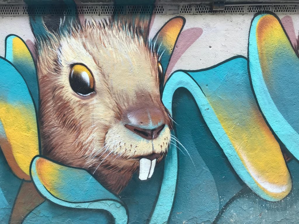 Vivid rabbit mural showcasing vibrant street art creativity outdoors.